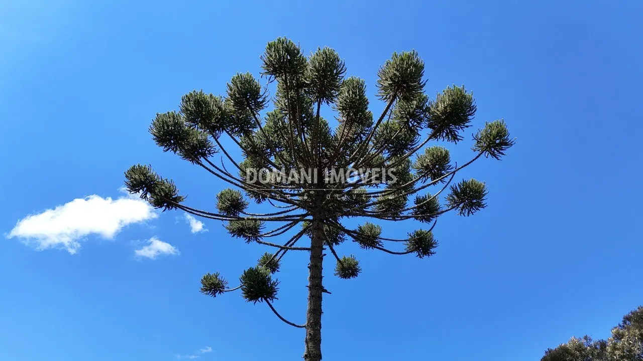 Plot for sale of 7 acres in Campos do Jordão, SP, Brazil