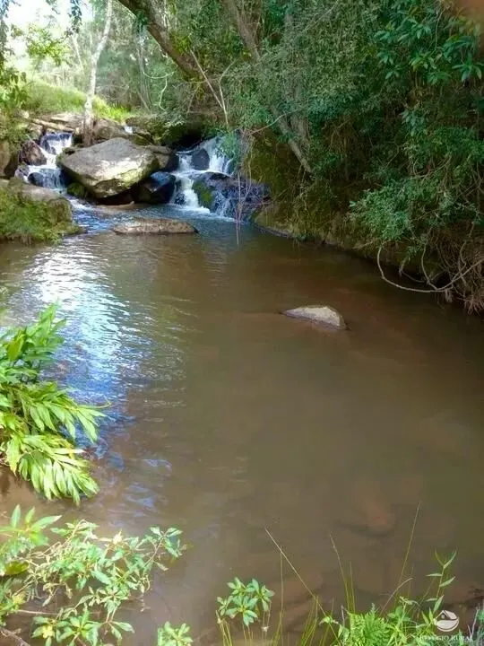 Small farm for sale of 64 acres in Cunha, SP, Brazil