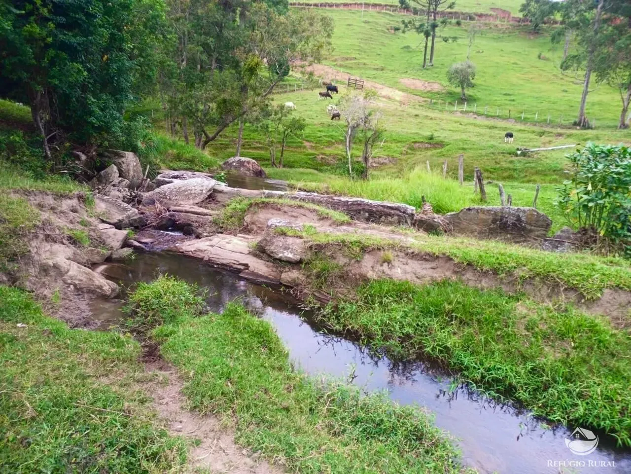 Small farm for sale of 64 acres in Cunha, SP, Brazil
