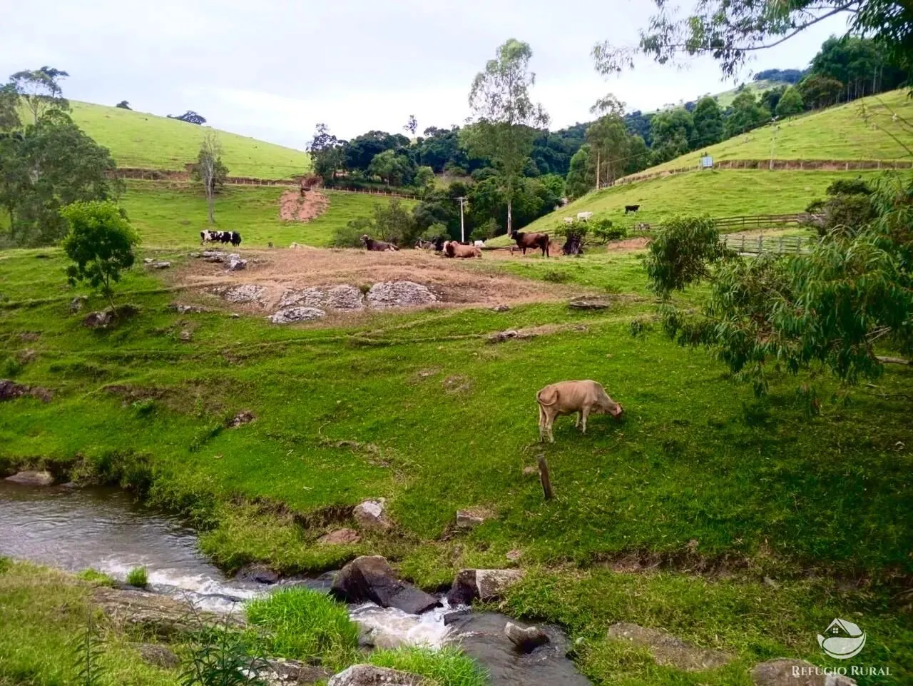Small farm for sale of 64 acres in Cunha, SP, Brazil