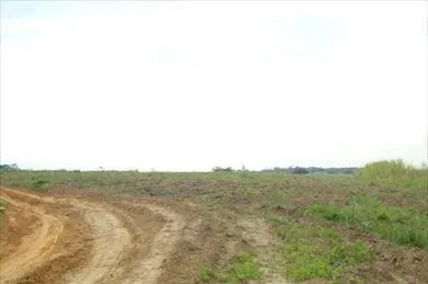 Fazenda à venda de 97 ha em Porto Feliz, SP, Brasil