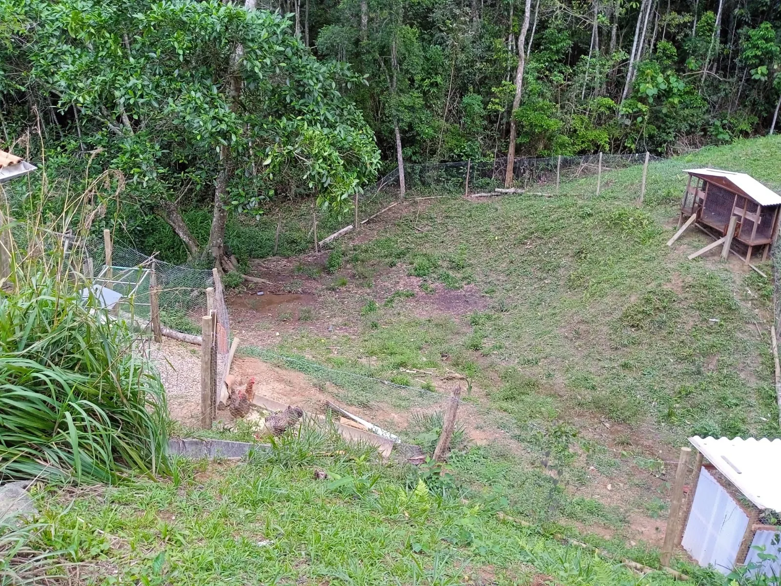 Small farm for sale of 15 acres in Paraibuna, SP, Brazil