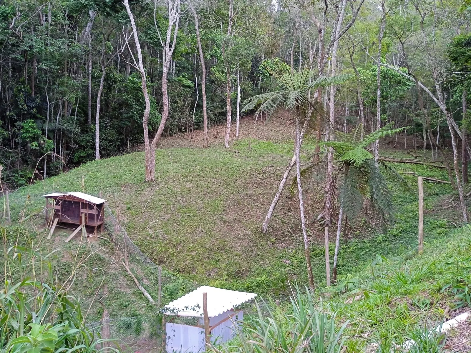 Small farm for sale of 15 acres in Paraibuna, SP, Brazil