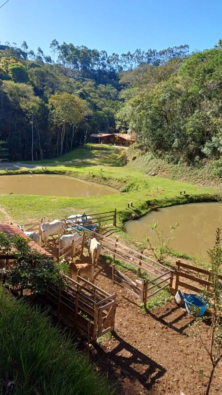 Small farm for sale of 15 acres in Paraibuna, SP, Brazil