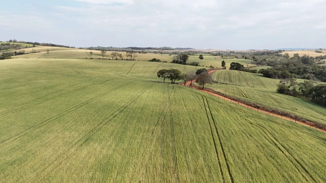 Fazenda à venda de 87 ha em Itapetininga, SP, Brasil