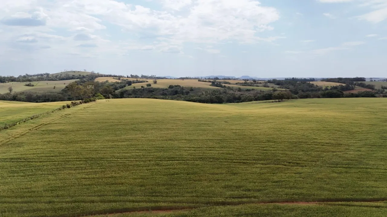 Fazenda à venda de 87 ha em Itapetininga, SP, Brasil