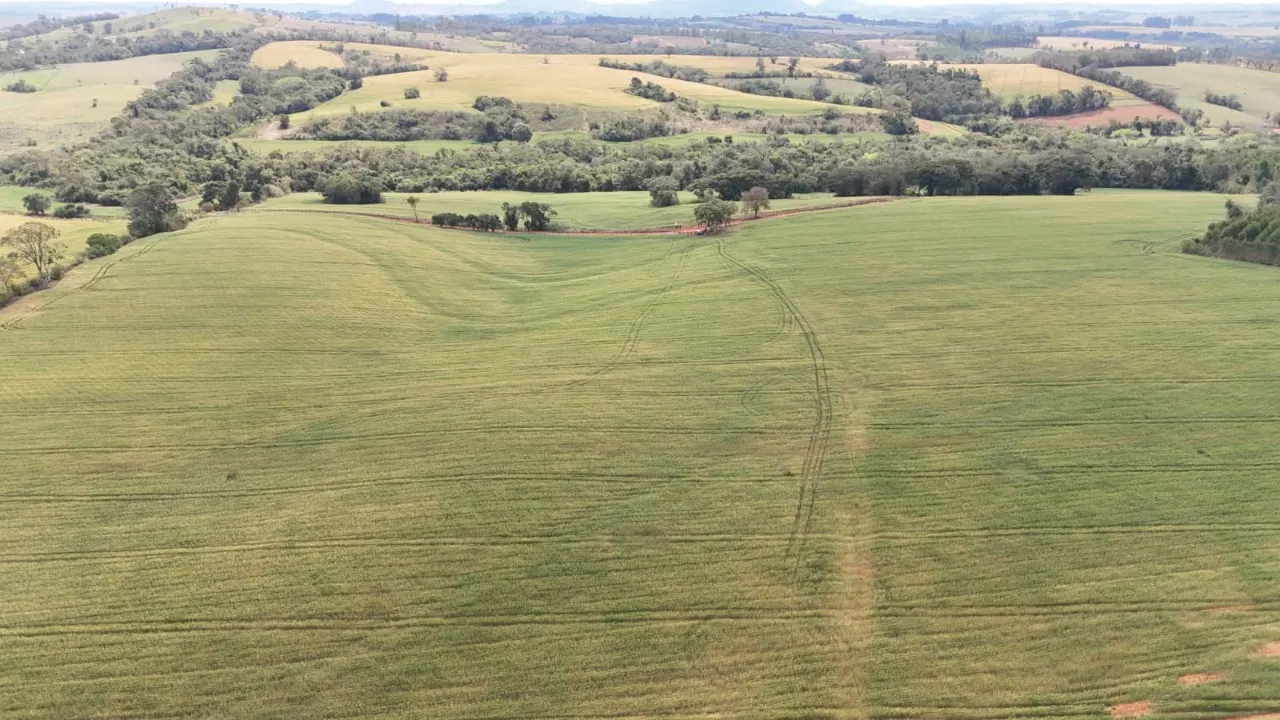 Fazenda à venda de 87 ha em Itapetininga, SP, Brasil
