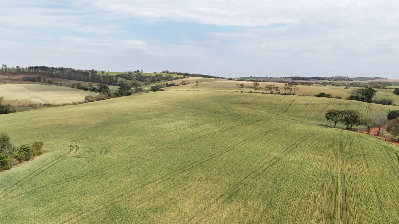Fazenda à venda de 87 ha em Itapetininga, SP, Brasil