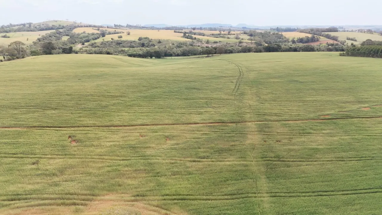 Fazenda à venda de 87 ha em Itapetininga, SP, Brasil