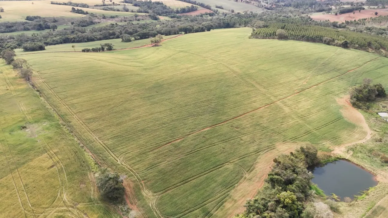 Fazenda à venda de 87 ha em Itapetininga, SP, Brasil