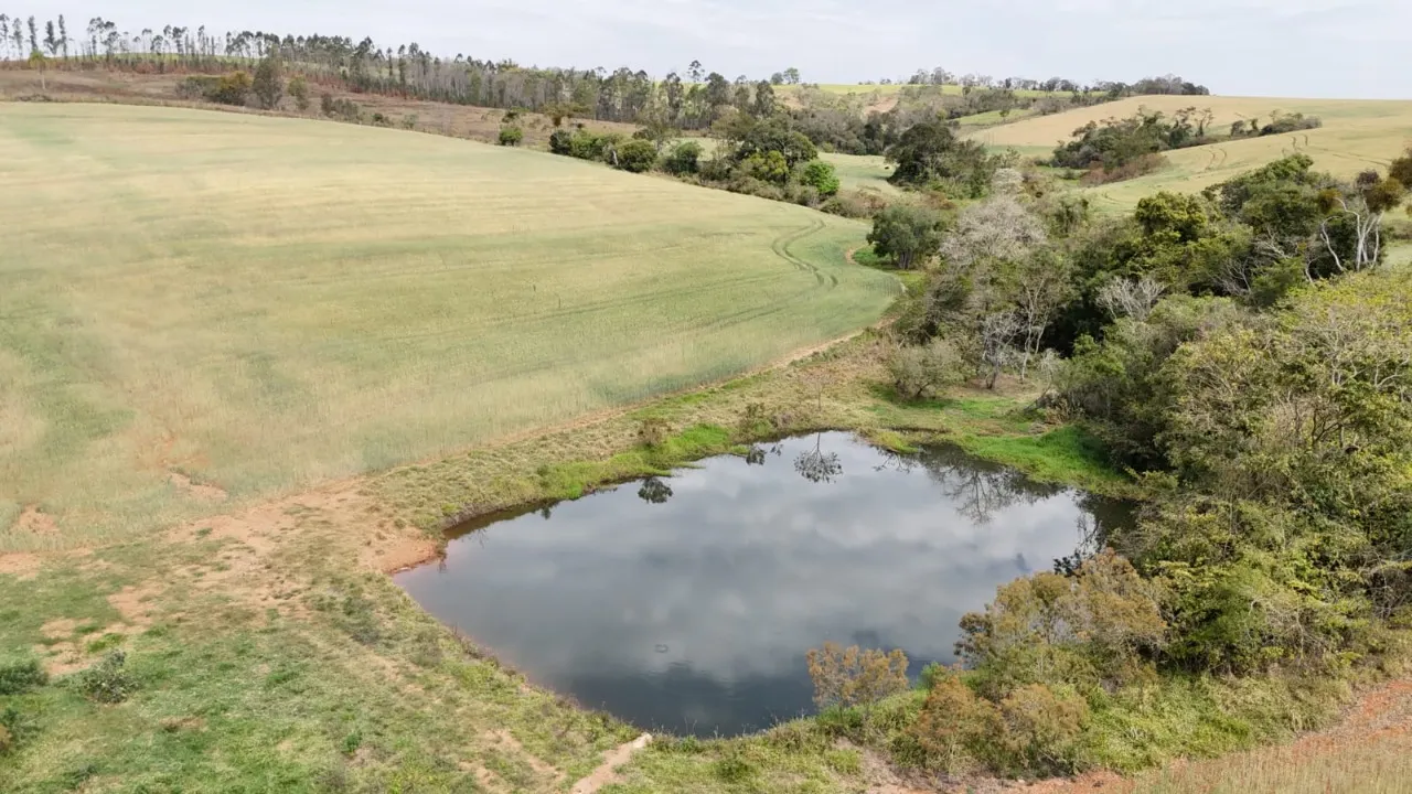 Fazenda à venda de 87 ha em Itapetininga, SP, Brasil