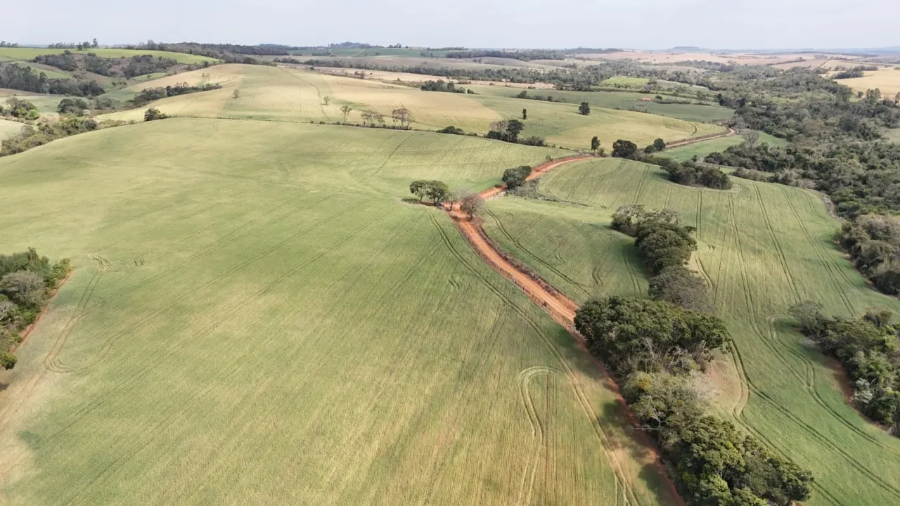 Fazenda à venda de 87 ha em Itapetininga, SP, Brasil