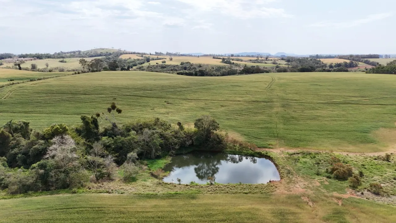 Fazenda à venda de 87 ha em Itapetininga, SP, Brasil