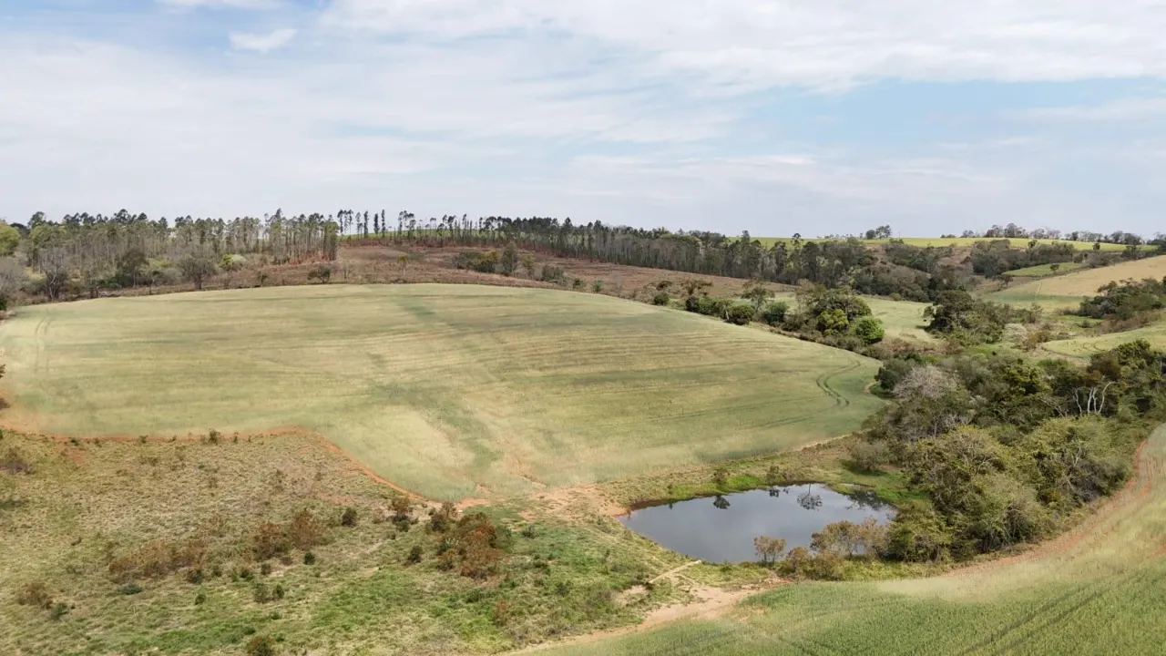 Fazenda à venda de 87 ha em Itapetininga, SP, Brasil