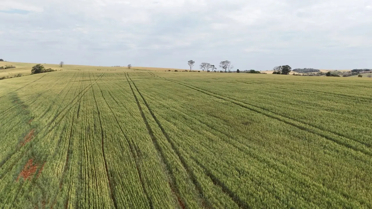 Fazenda à venda de 87 ha em Itapetininga, SP, Brasil