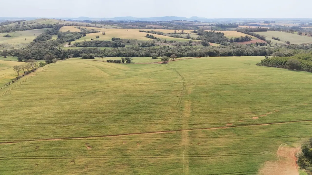 Fazenda à venda de 87 ha em Itapetininga, SP, Brasil