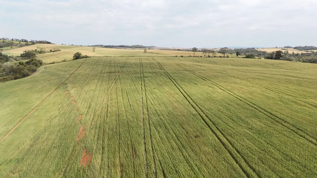 Fazenda à venda de 87 ha em Itapetininga, SP, Brasil