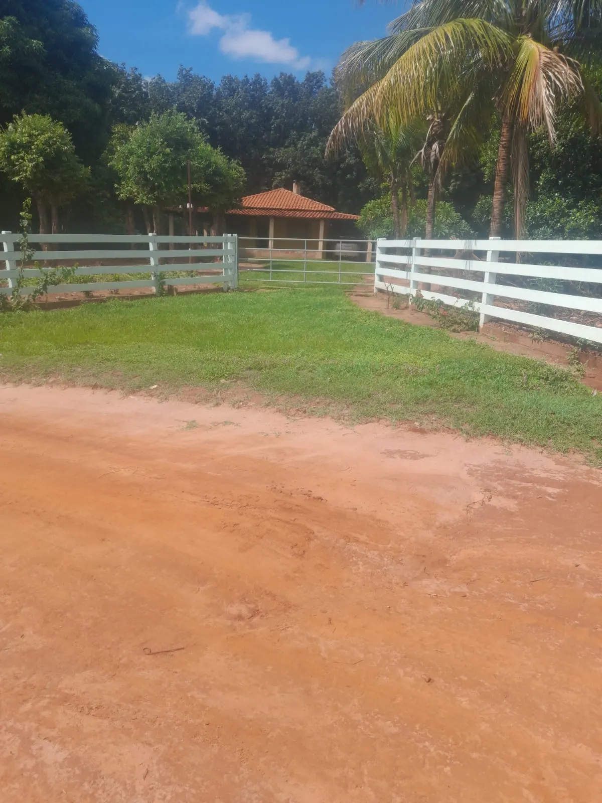Chácara à venda de 7 ha em Pedranópolis, SP, Brasil