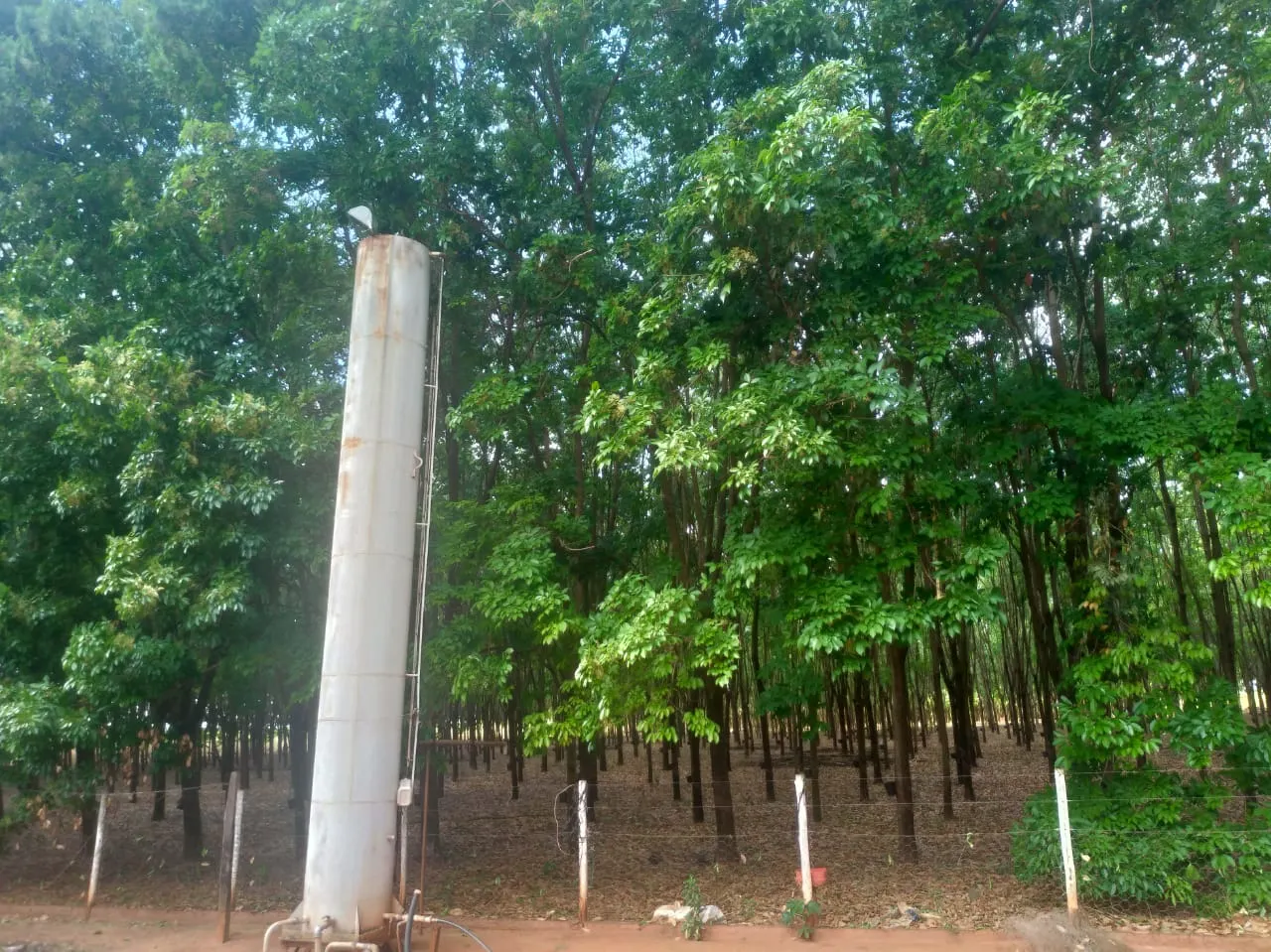 Chácara à venda de 7 ha em Pedranópolis, SP, Brasil