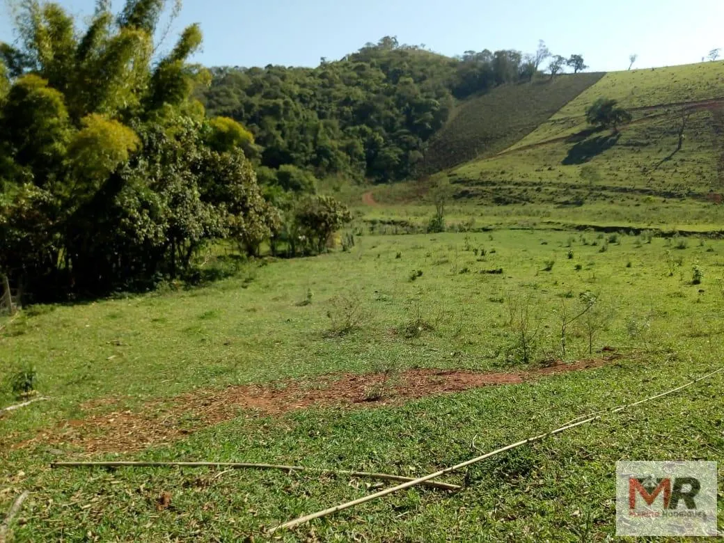 Sítio à venda de 48 ha em Cambuí, MG, Brasil
