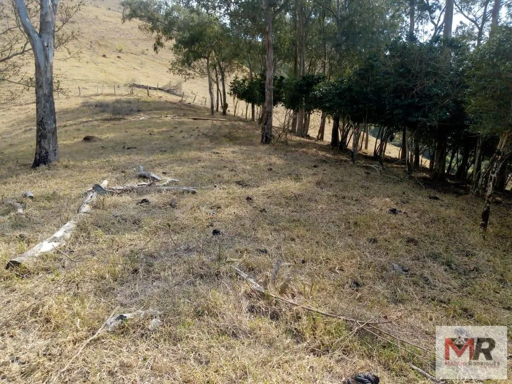 Sítio à venda de 48 ha em Cambuí, MG, Brasil