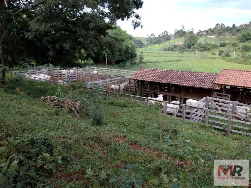 Sítio à venda de 48 ha em Cambuí, MG, Brasil