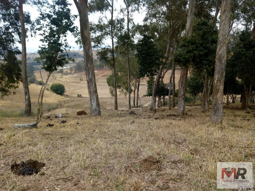 Sítio à venda de 48 ha em Cambuí, MG, Brasil