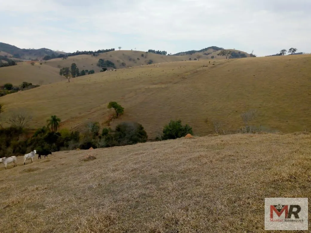 Sítio à venda de 48 ha em Cambuí, MG, Brasil