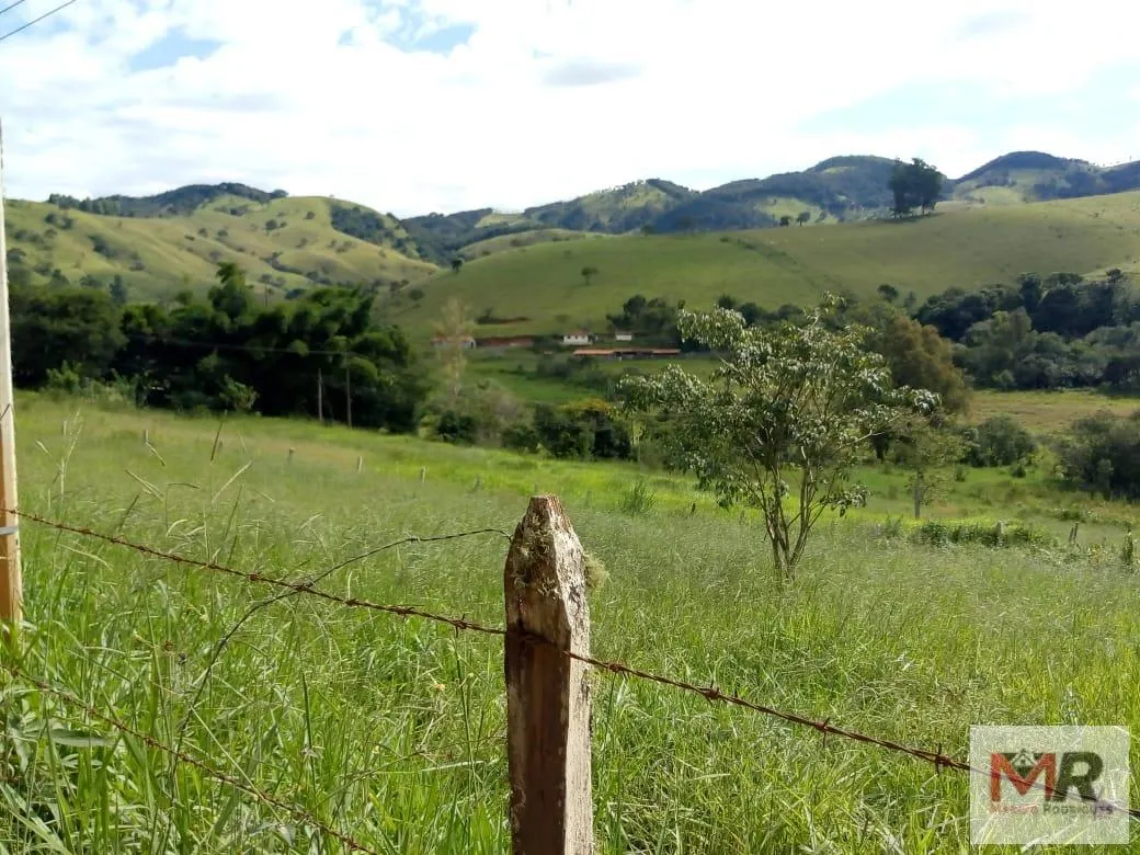 Sítio à venda de 48 ha em Cambuí, MG, Brasil