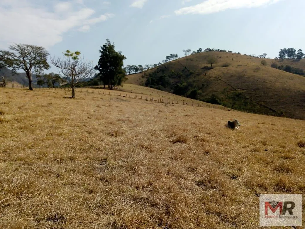 Sítio à venda de 48 ha em Cambuí, MG, Brasil