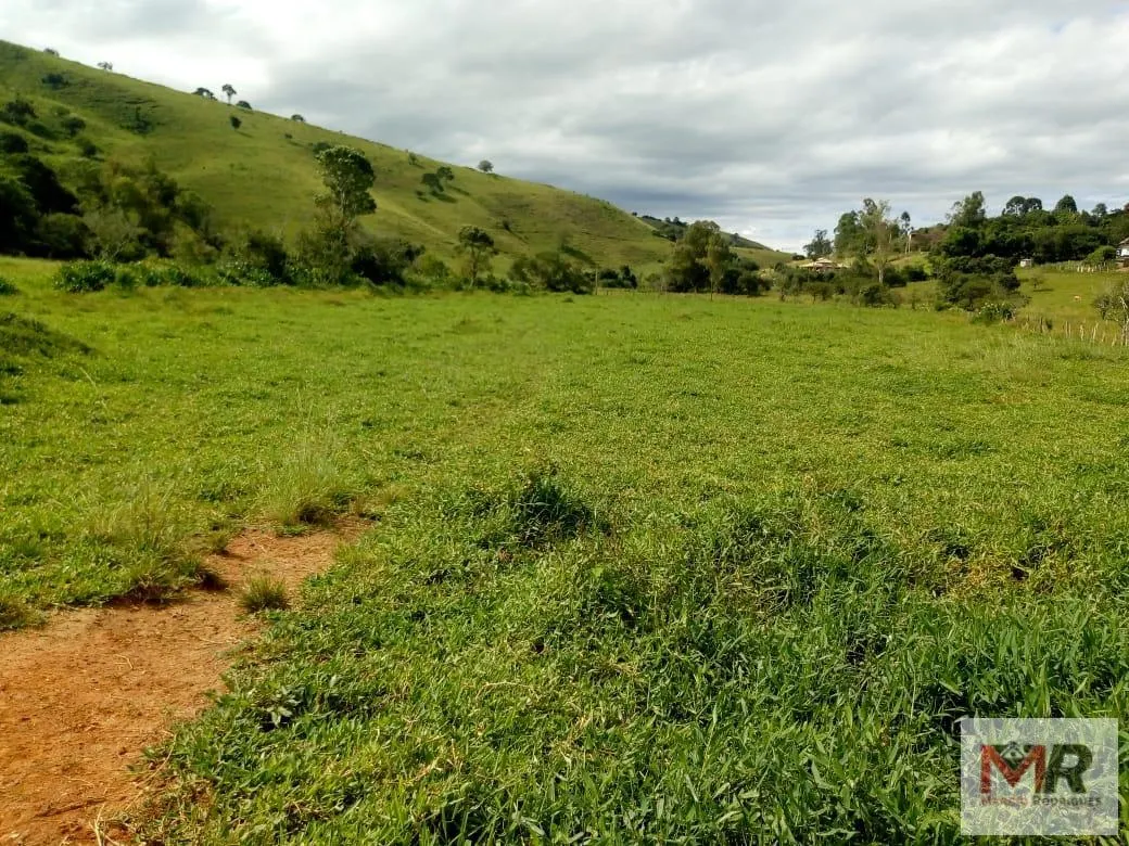 Sítio à venda de 48 ha em Cambuí, MG, Brasil