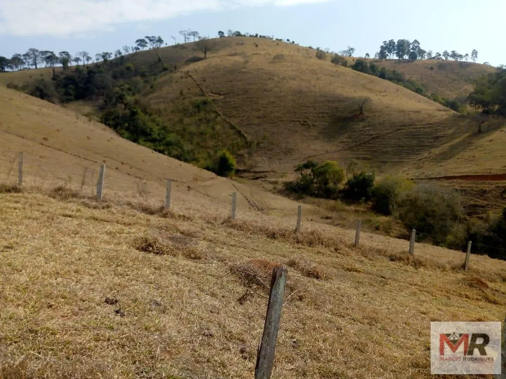 Sítio à venda de 48 ha em Cambuí, MG, Brasil