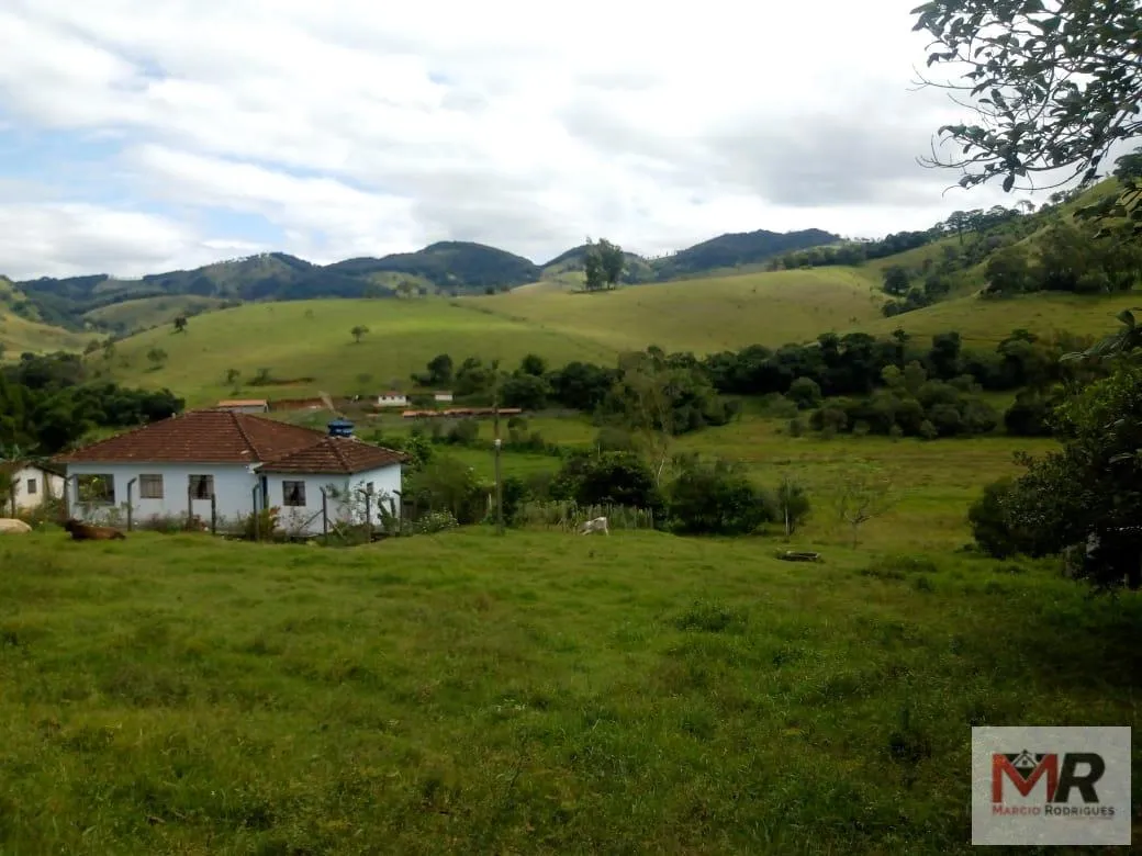 Sítio à venda de 48 ha em Cambuí, MG, Brasil