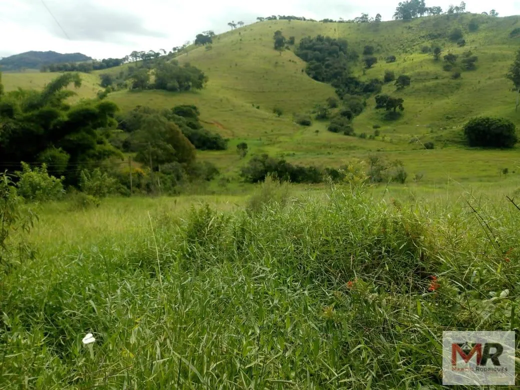 Sítio à venda de 48 ha em Cambuí, MG, Brasil