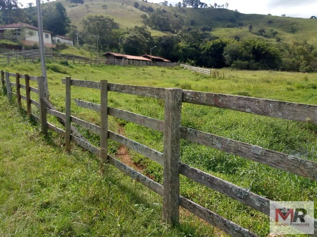 Sítio à venda de 48 ha em Cambuí, MG, Brasil
