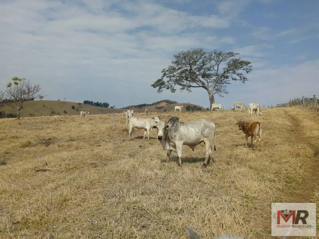 Sítio à venda de 48 ha em Cambuí, MG, Brasil