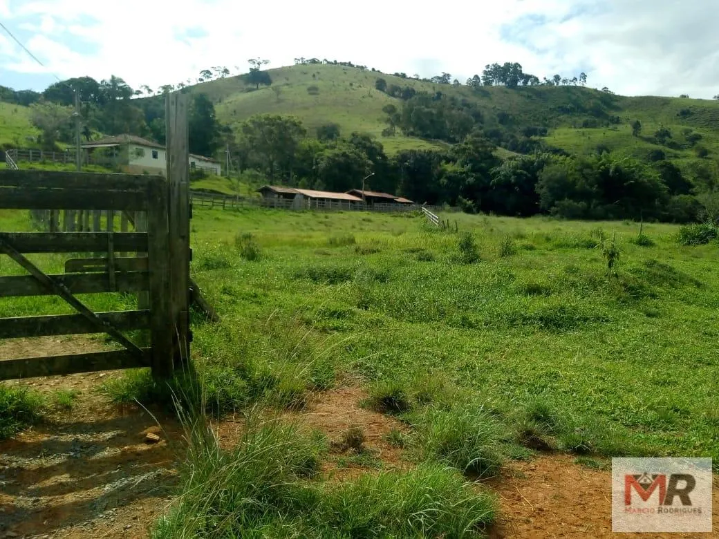 Sítio à venda de 48 ha em Cambuí, MG, Brasil