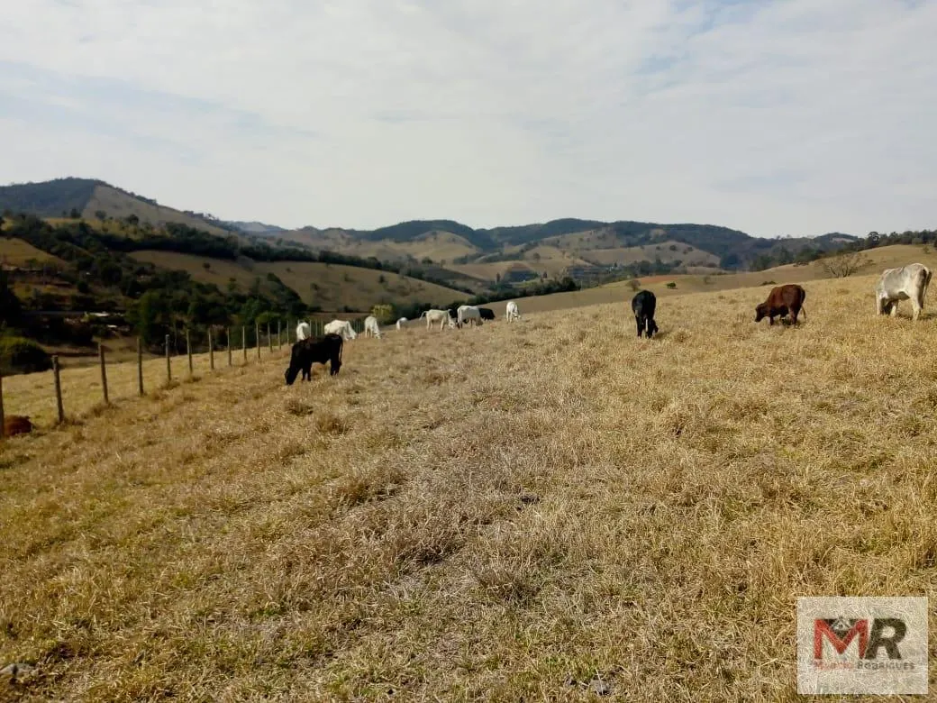 Sítio à venda de 48 ha em Cambuí, MG, Brasil
