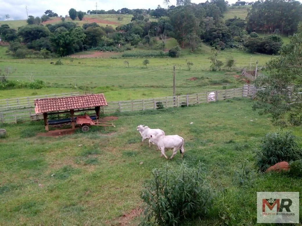 Sítio à venda de 48 ha em Cambuí, MG, Brasil