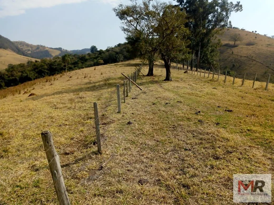 Sítio à venda de 48 ha em Cambuí, MG, Brasil