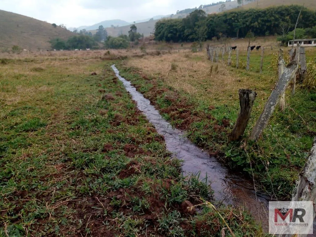 Sítio à venda de 48 ha em Cambuí, MG, Brasil