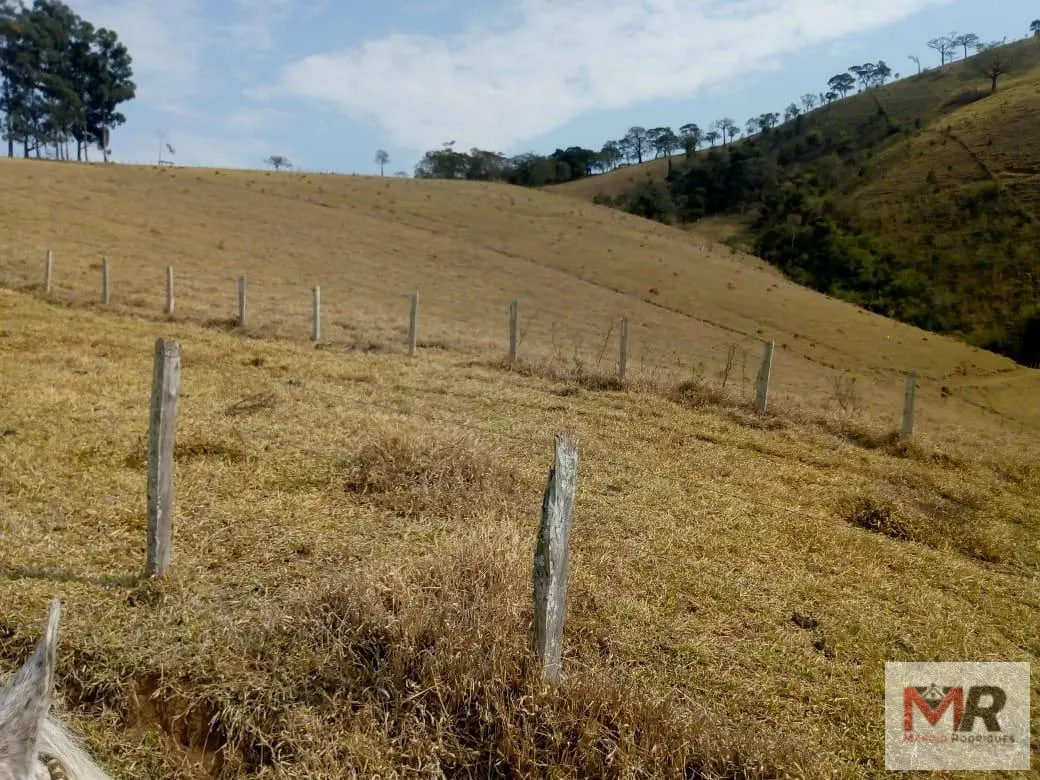 Sítio à venda de 48 ha em Cambuí, MG, Brasil