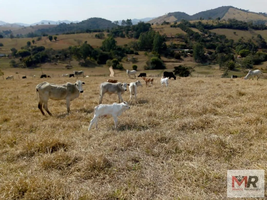 Sítio à venda de 48 ha em Cambuí, MG, Brasil