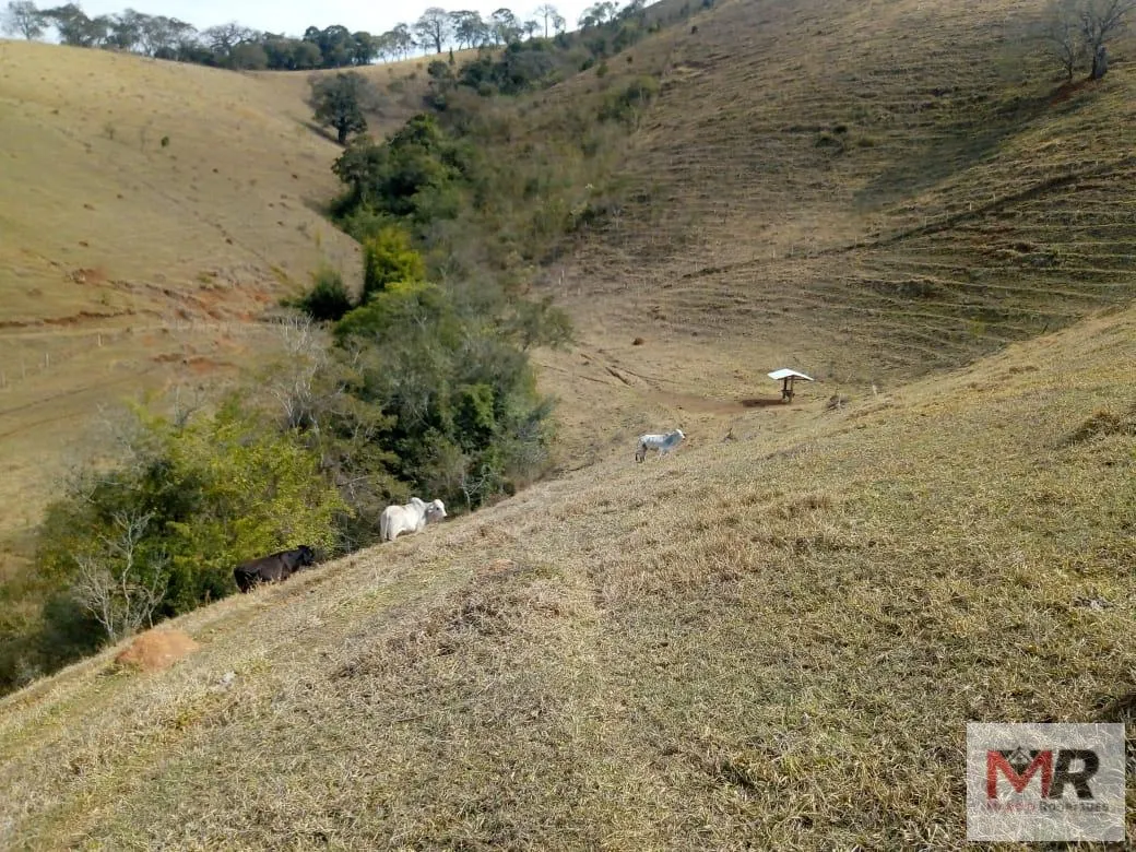 Sítio à venda de 48 ha em Cambuí, MG, Brasil