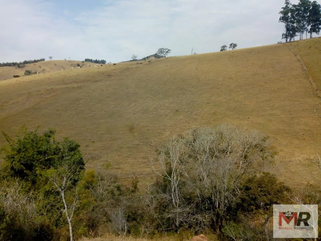Sítio à venda de 48 ha em Cambuí, MG, Brasil
