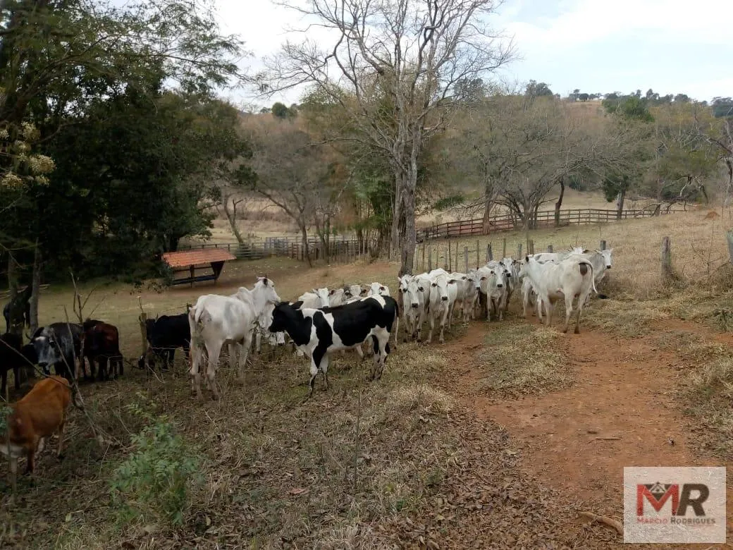 Sítio à venda de 48 ha em Cambuí, MG, Brasil