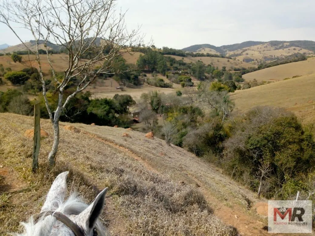 Sítio à venda de 48 ha em Cambuí, MG, Brasil