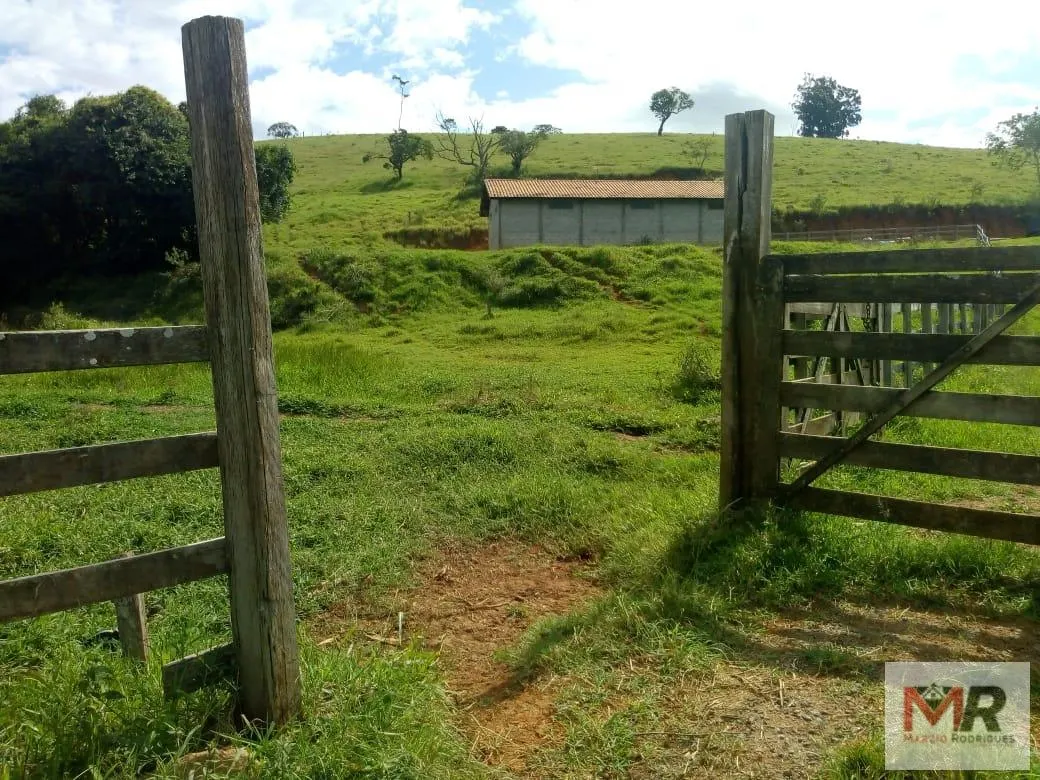 Sítio à venda de 48 ha em Cambuí, MG, Brasil