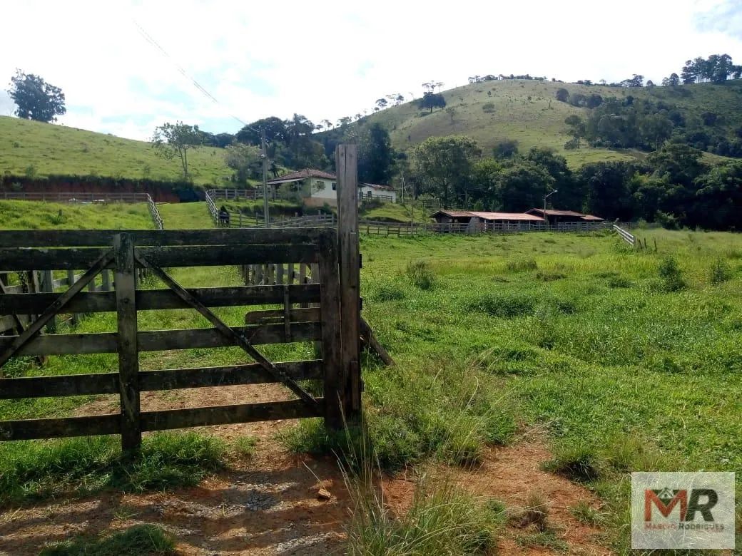 Sítio à venda de 48 ha em Cambuí, MG, Brasil