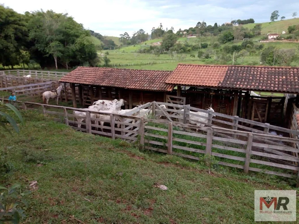 Sítio à venda de 48 ha em Cambuí, MG, Brasil